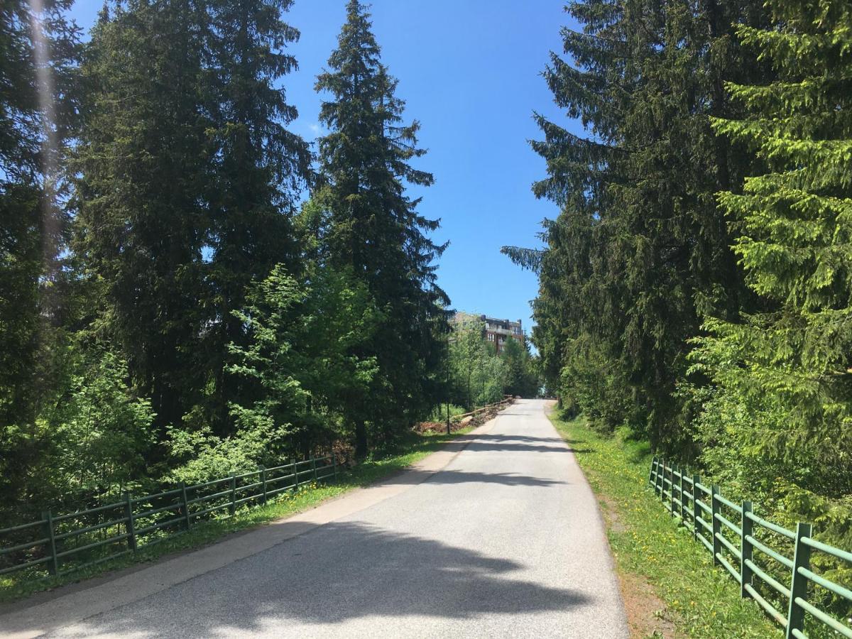 Štrbské Pleso Apartman S Vyhladom Na Stity Ovruc 312 מראה חיצוני תמונה